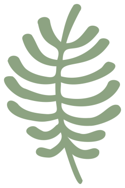 Renkli doğa tasarım elementi. Şeffaf arkaplanı olan PNG.