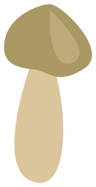 Renkli doğa tasarım elementi. Şeffaf arkaplanı olan PNG.