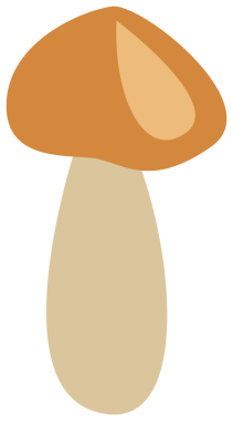 Bitki dekorasyonu, doğa tasarım unsuru. Şeffaf arkaplanı olan PNG.