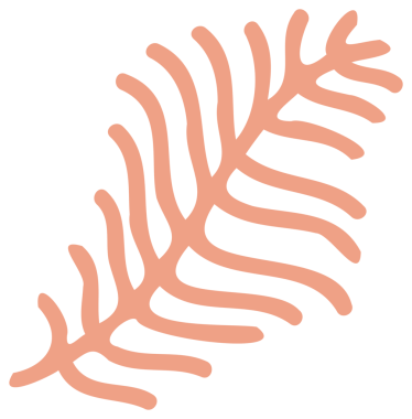 Bitki dekorasyonu, doğa tasarım unsuru. Şeffaf arkaplanı olan PNG.