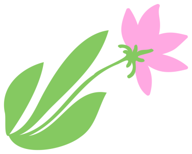 Bitki dekorasyonu, doğa tasarım unsuru. Şeffaf arkaplanı olan PNG.