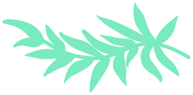 Bitki dekorasyonu, doğa tasarım unsuru. Şeffaf arkaplanı olan PNG.