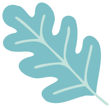 Bitki dekorasyonu, doğa tasarım unsuru. Şeffaf arkaplanı olan PNG.