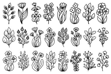 Çizgili çizgiler çizilmiş bitkiler ve çiçekler siyah ince çizgili. Çok yönlü kullanım için çiçek çizimleri ve çizimler.