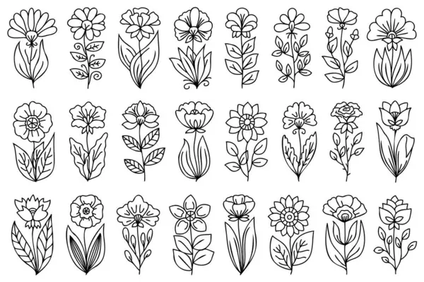 Soyut çizimler, el çizimi çiçekler. Saplı ve yapraklı, siyah ince çizgili, beyaz arkaplanda izole çiçek koleksiyonu.