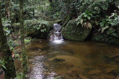 A beautiful place to relax and enjoy the nature