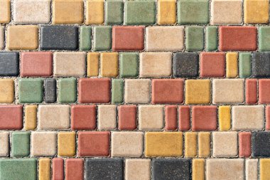 Kamu parkında güneşli bir günde renkli kaldırım. Arka plan olarak kentsel park peyzaj tasarımında renkli kaldırım taşları