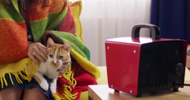 Домашній Кіт Сидить Жіночих Кільцях Намагається Розігрітися Від Червоного Обігрівача — стокове відео