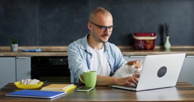 Freelancer dizüstü bilgisayarda çalışıyor ve sevimli kedilere bakıyor. Yetişkin işadamı proje için bilgi yazar ve mutfakta hayvan arkadaşlığından hoşlanır