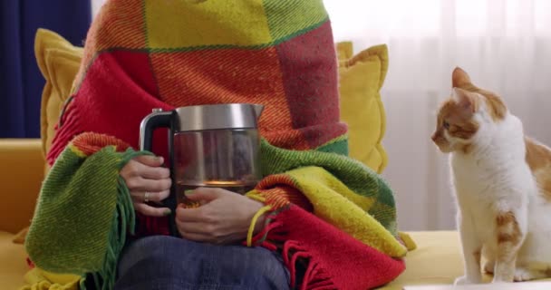 Battaniyeyle Kaplanmış Bir Kadın Sıcak Çaydanlıktan Isınmaya Çalışıyor Evcil Kedi — Stok video