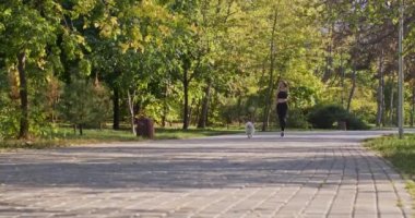 Young woman practices jogging accompanied by favourite pet in autumn park. Lovely dog and short-haired lady run together caring about wellbeing