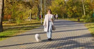 Young woman walks with adorable dog in autumn park filled with people. Lady wearing autumn coat walks drinking coffee and enjoying weather