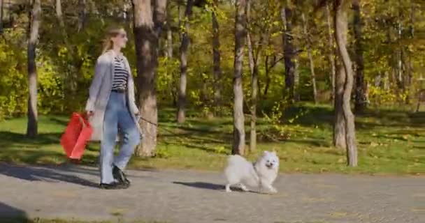 秋天公园里 戴着眼镜的短发女人带着可爱的狗散步 年轻的女士喜欢在温暖的天气里遛狗 — 图库视频影像