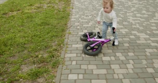 Tout Petit Garçon Prend Vélo Tombé Commence Monter Vélo Équilibre — Video