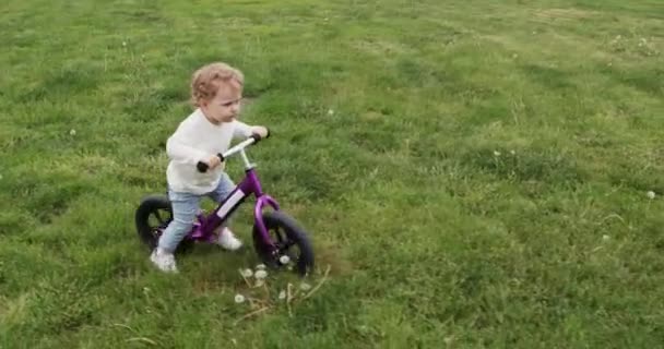 Παιδί Παιδί Προσπαθεί Οδηγήσει Μοβ Ποδήλατο Πράσινο Καταπράσινο Ξέφωτο Γρασίδι — Αρχείο Βίντεο