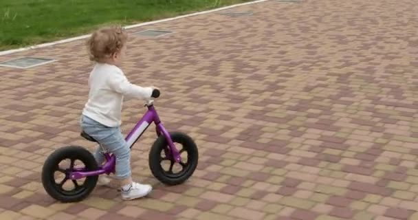 Toddler Boy Rides Purple Balance Bike Pavement City Park Blond — Stock Video