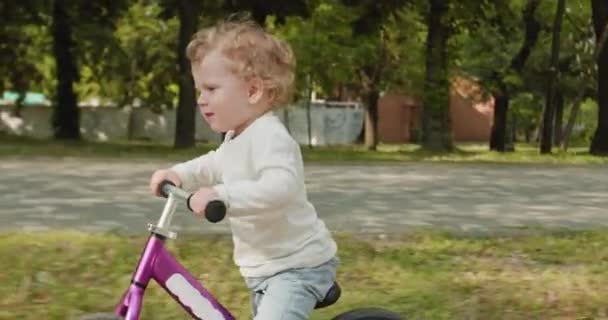 Toddler Boy Enjoys Riding Purple Balance Bike Fast Sunlit City — Stock Video