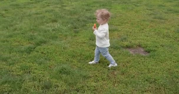 Toddler Boy Walking Green Lush Grass Glade Eats Tasty Bun — Stock Video