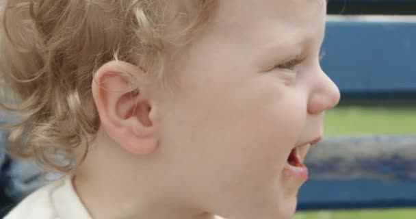 Maluch Lubi Jeść Ciastka Niebieskiej Ławce Matką Parku Miejskim Syn — Wideo stockowe