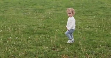 Sakin suratlı küçük çocuk şehir parkındaki karahindiba çayırında genç anneye doğru yürüyor. Sarışın kadın kucağına alır ve kucağına alır küçük çocuğu.