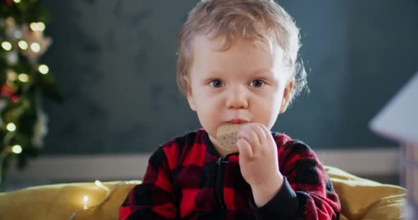 Niño Rubio Pequeño Disfruta Comiendo Galletas Navidad Sala Estar Decorada — Vídeo de stock