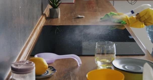 Lastik Eldivenli Sahibi Mutfakta Elektrikli Sobayı Yıkamak Için Şişeden Sıkar — Stok video