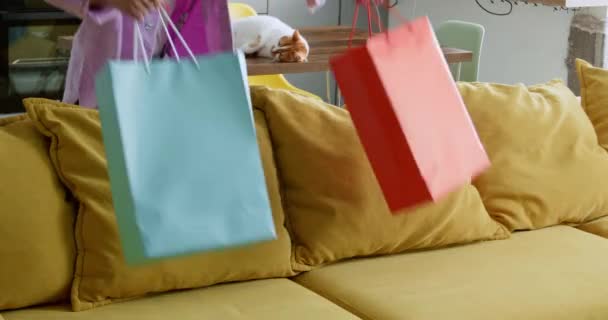 女性はアパートにソファーとカドルネコに買い物袋を置いています レディーは購入に成功した後 パッケージを持って帰宅します ショッピング ライフスタイル — ストック動画