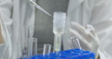 Teknisyen, tıp merkezinde deney tüpünden çıkan sıvıyı pipetin içine dolduruyor. Laboratuvar çalışanı bulaşıcı hastalıklar için organik materyalleri inceliyor