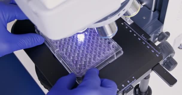 Cientista Coloca Palete Contenção Derramamento Com Líquidos Azuis Microscópio Close — Vídeo de Stock