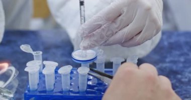 Laboratuvar çalışanları iş yerinde test tüpünden sıvı madde pompalıyorlar. Teknisyen laboratuvarda organik maddeler alıyor.