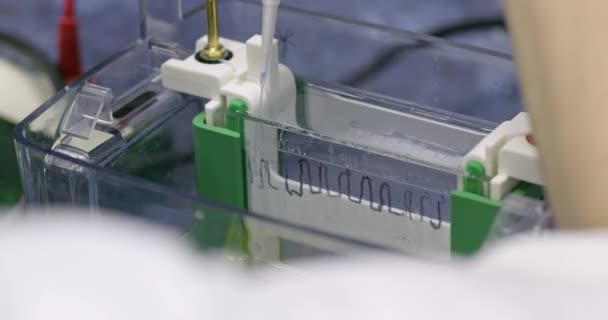 Ajout Matériaux Essai Dans Récipient Machine Électrophorèse Gros Plan Laboratoire — Video