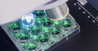 Asistanlık, laboratuvarda mikroskopla inceleme yaparken dökülme önleme paletini kapatıyor. Tıp merkezinde biyomateryal araştırması