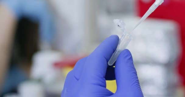 Laboratorian Förbereder Prov Biologiskt Material För Test Infektioner Forska Center — Stockvideo