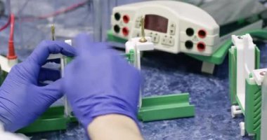 Teknisyen laboratuvarda dikey elektroforez cihazını birleştiriyor. Tıp çalışanı protein ve nükleik molekülleri araştırmaya hazırlanıyor.