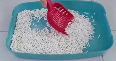Beyaz kümelenmiş kedi kumu dolu bir turkuaz çöp kutusunu temizlemek için kırmızı plastik kepçe kullanmak gerekir. Ev ortamında evcil hayvan hijyeninin ve bakımının önemini vurgulamak gerekir.