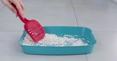 Erkek eli, kedi kumu kutusunda plastik kepçeyle peletleri düzeltir. Trowel tam olarak karışık dolgunun üstünde duruyor. Adam saçma dağıtmak için araç kullanıyor
