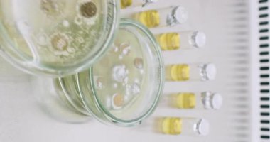 Deneyimli laboratuar teknisyeni, temiz laboratuvar masasında, petri kaplarını küf örnekleriyle dikkatlice düzenliyor. Petri kapları çeşitli biyolojik örnekler içerir dikey çekim