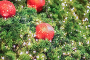 Bokeh ışıklandırmalı soyut bulanık noel ağacı