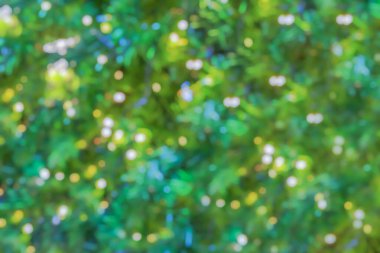 Bokeh ışıklandırmalı soyut bulanık noel ağacı
