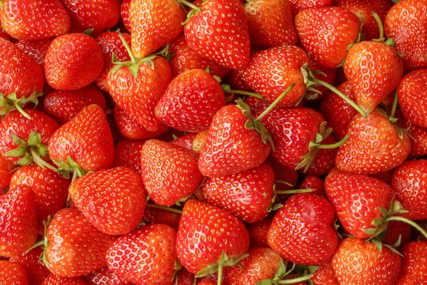 Fondo Fruta Fresa Roja Orgánica Fresca — Foto de Stock