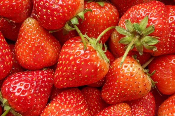 Fresh Organic Red Strawberry Fruit Background — Stock Photo, Image