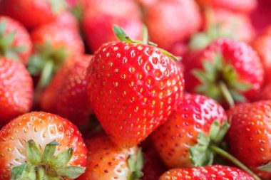 Taze organik kırmızı çilek arka planı