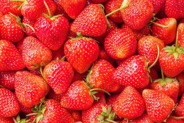 Friske Økologiske Røde Jordbær Frugt Baggrund - Stock-foto
