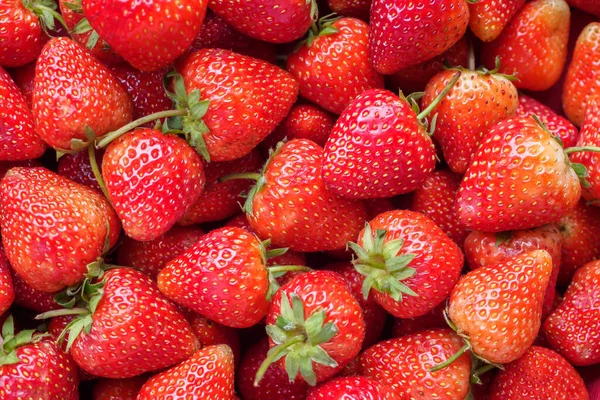 Verse Biologische Rode Aardbeien Fruit Achtergrond — Stockfoto