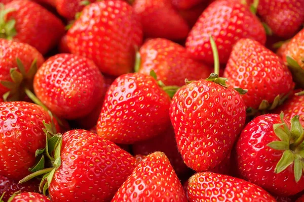 Verse Biologische Rode Aardbeien Fruit Achtergrond — Stockfoto