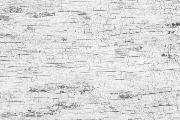 White Wood Surface Natural Texture Background — Stock Photo, Image