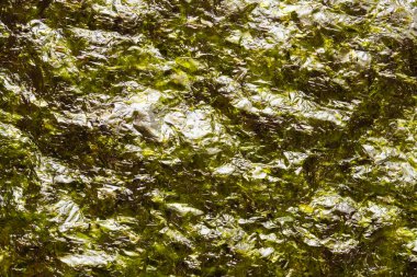 Kuru Norveç yosun örtüsü dokusu arkaplanı