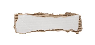 beyaz arkaplanda izole edilmiş beyaz kağıt yırtığı