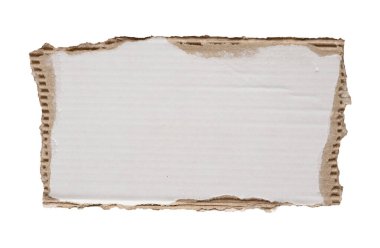 beyaz arkaplanda izole edilmiş beyaz kağıt yırtığı