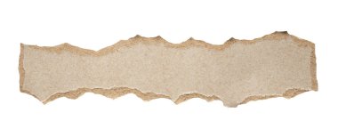 beyaz arkaplanda izole edilmiş gri kağıt yırtığı